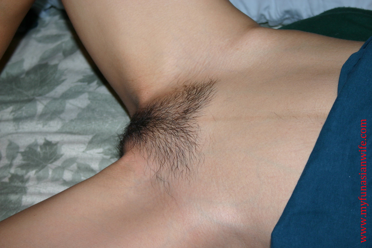 355_23_bush